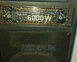 Ensemble Haut Parleur Amplifier
