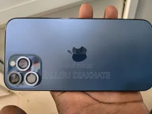 Apple iPhone 12 Pro Max 256 GB Bleu
