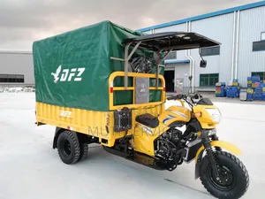 Tricycle DFZ 300cc