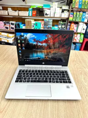 Neuf Ordinateur Portable HP ProBook 440 G7 8GB Intel Core I5 SSD 256GB
