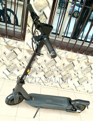 Trottinette Electrique Ninebot Max 2
