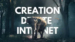 Creation De Site Internet