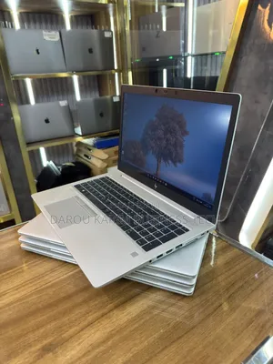 Neuf Ordinateur Portable HP EliteBook 755 G5 8GB AMD Ryzen 3 SSD 256GB