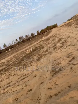 Terrain De 150 M2