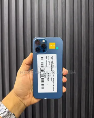 Nouveau Apple iPhone 12 Pro Max 256 GB Bleu