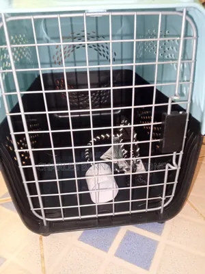 Cage De Transport