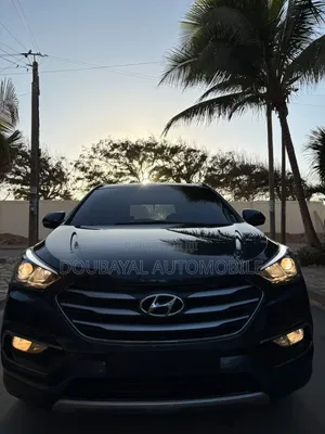 Hyundai Santa Fe 2017 Autre