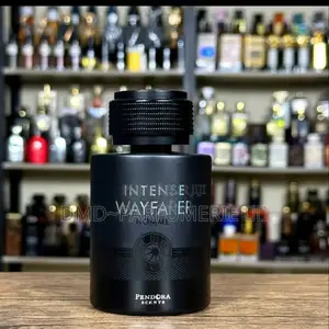 Intense Wayfarer