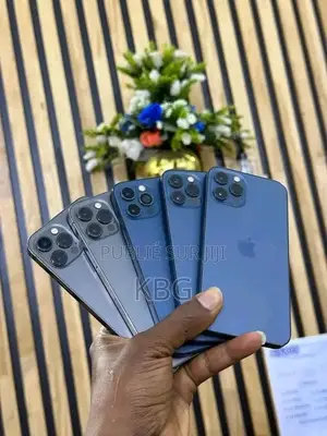 Nouveau Apple iPhone 12 Pro Max 256 GB Bleu
