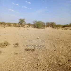 Location De Terrain Agricole De 3,48 Ha Vers Diama – Saint – Louis