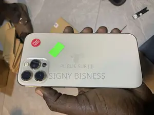 Nouveau Apple iPhone 12 Pro Max 256 GB Doré