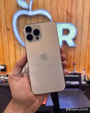 Nouveau Apple iPhone 13 Pro Max 128 GB Argenté