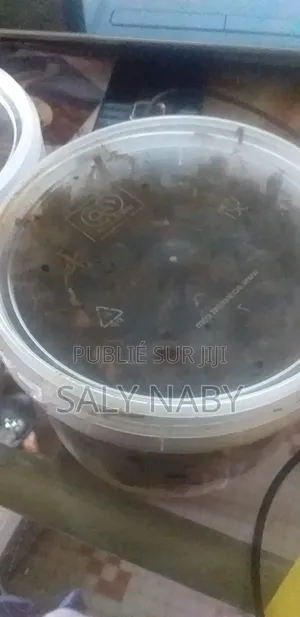 Nimzat Business
