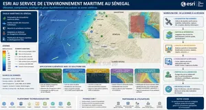 Ingénieur Développeur Web Et Sig ,Geo-Ai,Conseil Et Formation