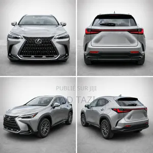 Lexus NX 2022 Gris