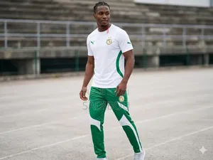 Maillots Du Sport