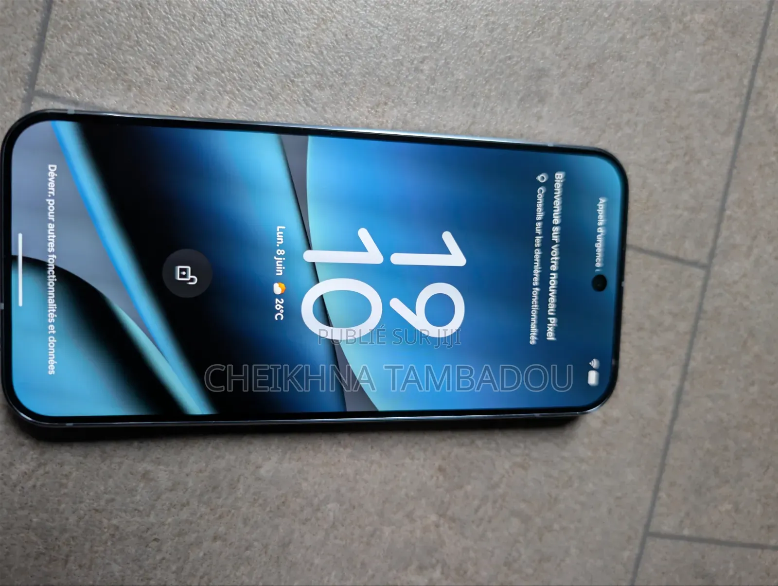 Google Pixel 10 Pro XL 256 GB Gris