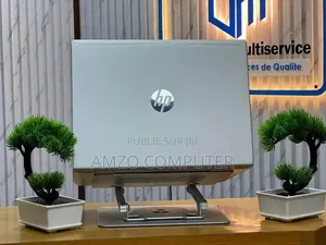 Ordinateur portable HP ProBook 440 G7 8GB Intel Core i5 SSD 256GB