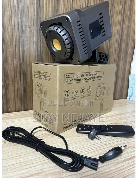 Cob Light 100w