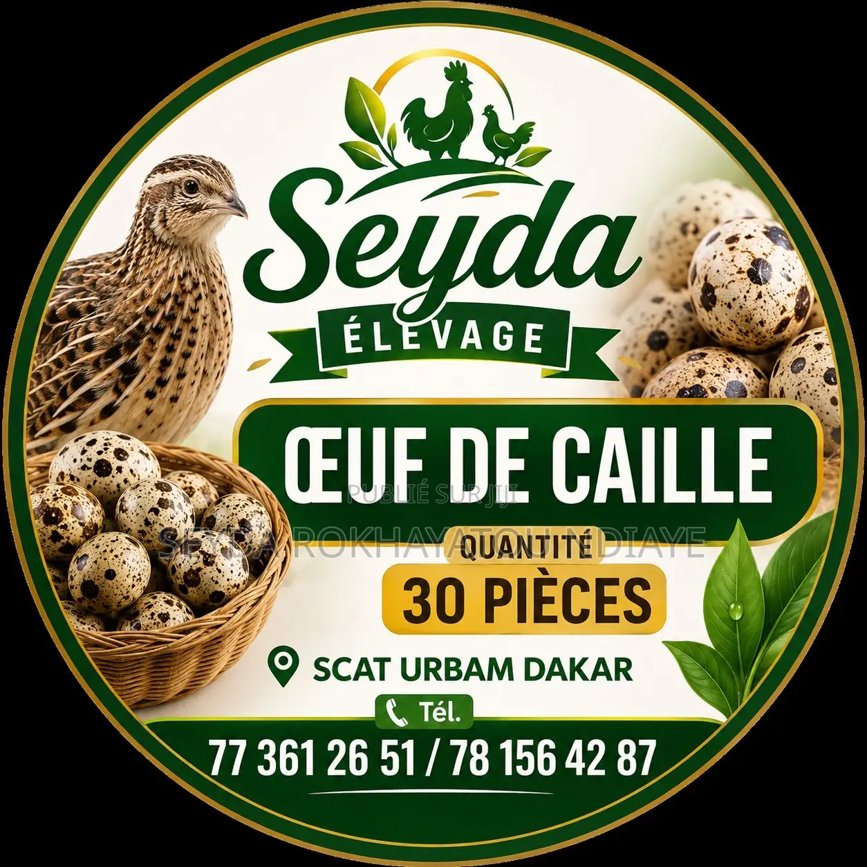 Vente Chair De Caille Et Les Œuf