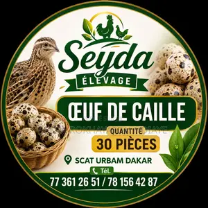 Vente Chair De Caille Et Les Œuf