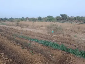​Terrain Agricole Fertile À Louer Ou Partenariat – Dagana