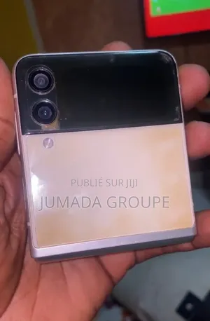 Samsung Galaxy Z Flip 3 256 GB Autre