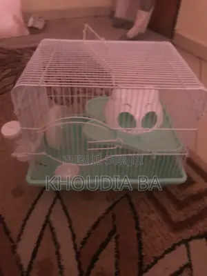 Cage Pour Hamster Et Petit Rongeur