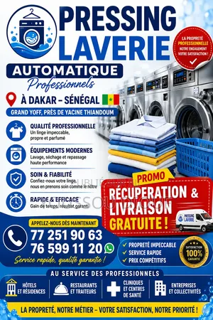Services Professionnels