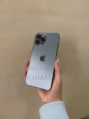 Nouveau Apple iPhone 12 Pro Max 256 GB Autre