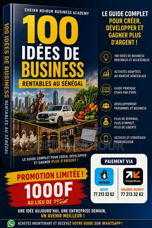 100 Idées De Business Rentable Au Sénégal