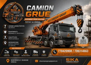 Location Des Camions Grue , Nacelle Élévatrice, Plateau