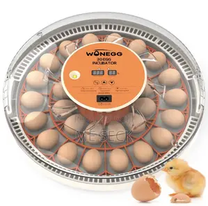 Couveuse Automatique