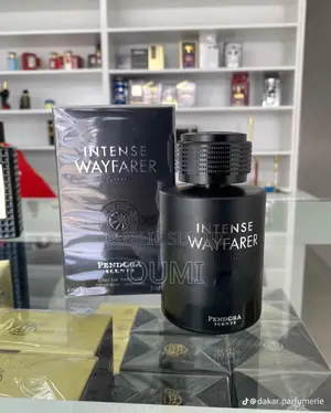 Intense Wayfarer