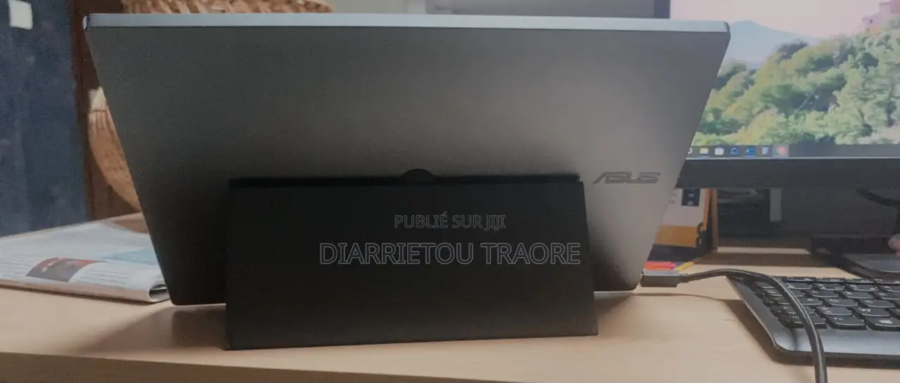 ASUS Zenscreen