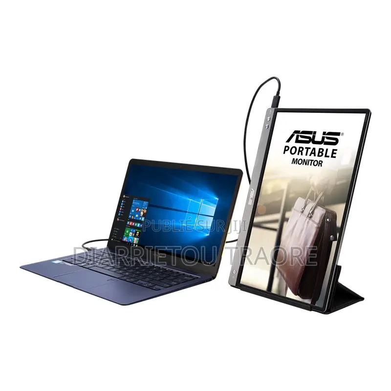 ASUS Zenscreen