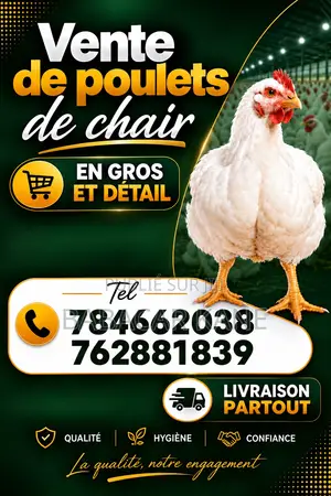 Je Vends Des Poulets De Chair De Qualité !