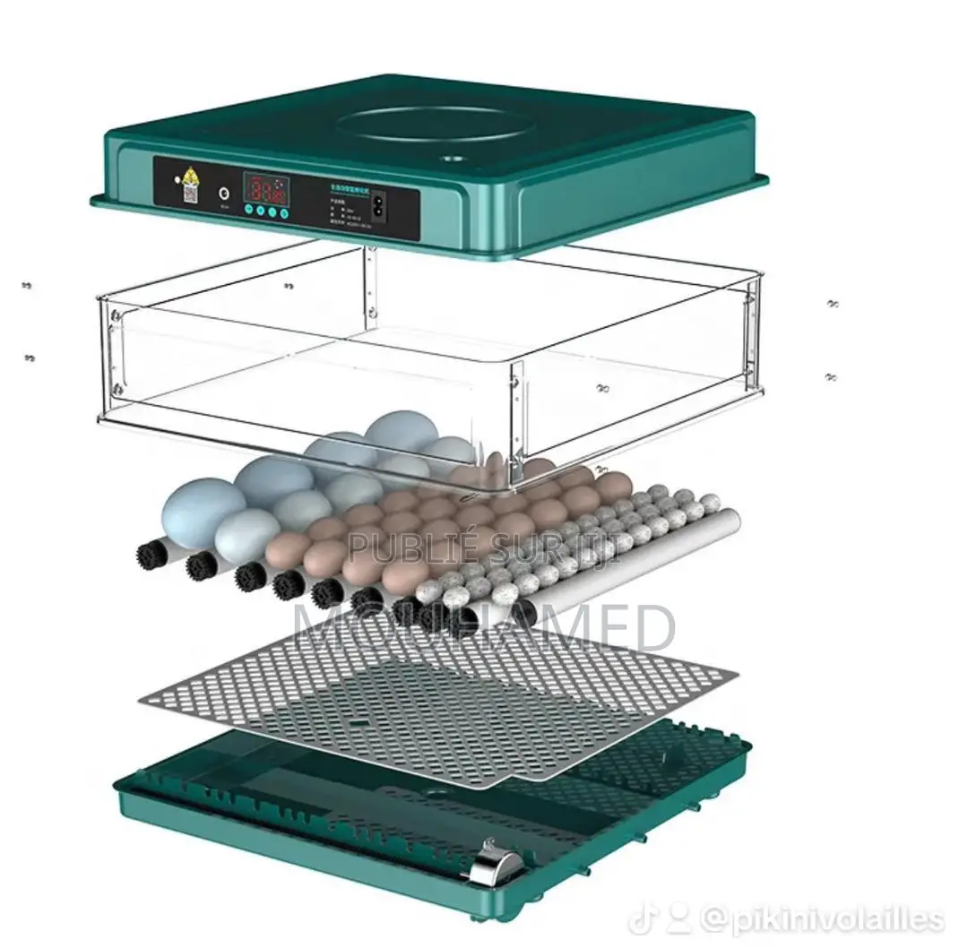 Couveuse Automatique 50 Oeufs