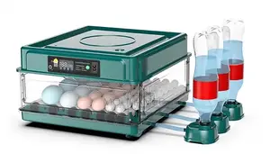 Couveuse Automatique 50 Oeufs
