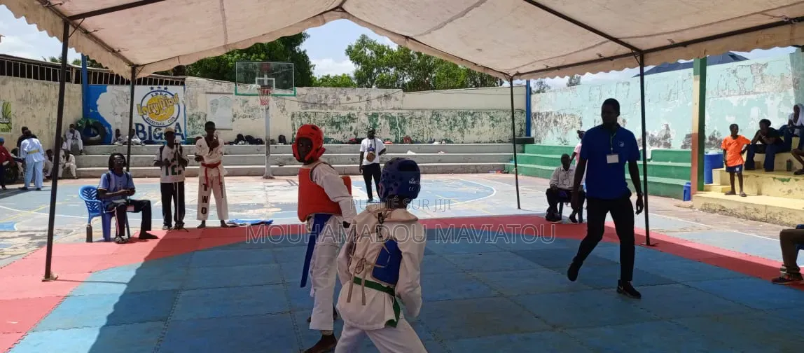 Cours De Taekwondo Préparation Physique Pour Enfants - Ziguinchor