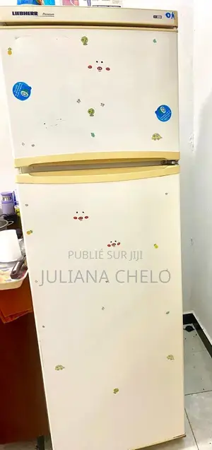 Frigo Avec Mini Congélateur À Vendre