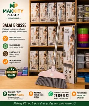 Balai Brosse