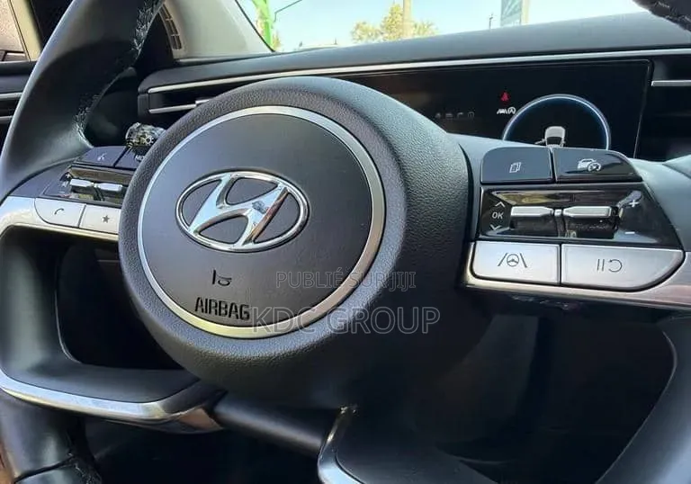 Hyundai Tucson 2021 Gris