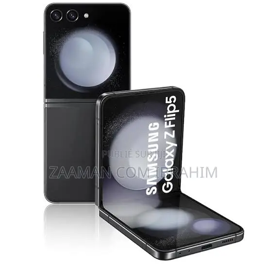 Samsung Galaxy Z Flip 5 256 GB Gris