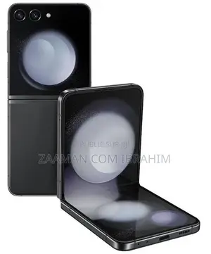 Samsung Galaxy Z Flip 5 256 GB Gris