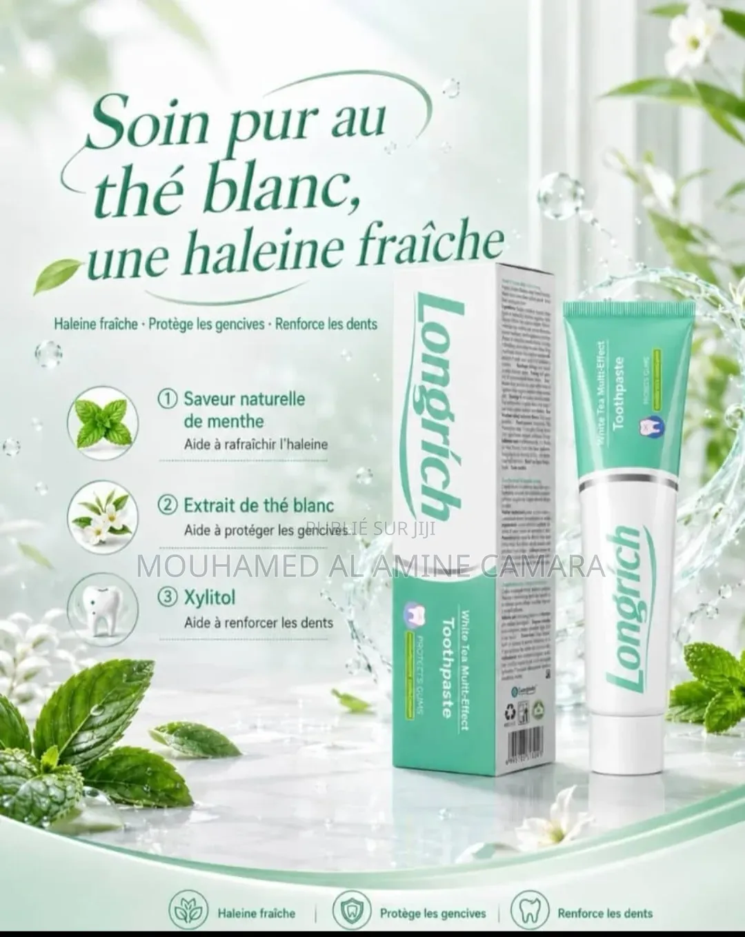 Patte Dentaire Longrich
