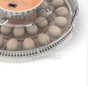 Couveuse Automatique