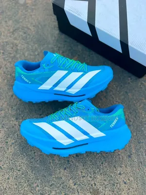 Chaussure Adidas Terrex Bleu-Blanc Disponible