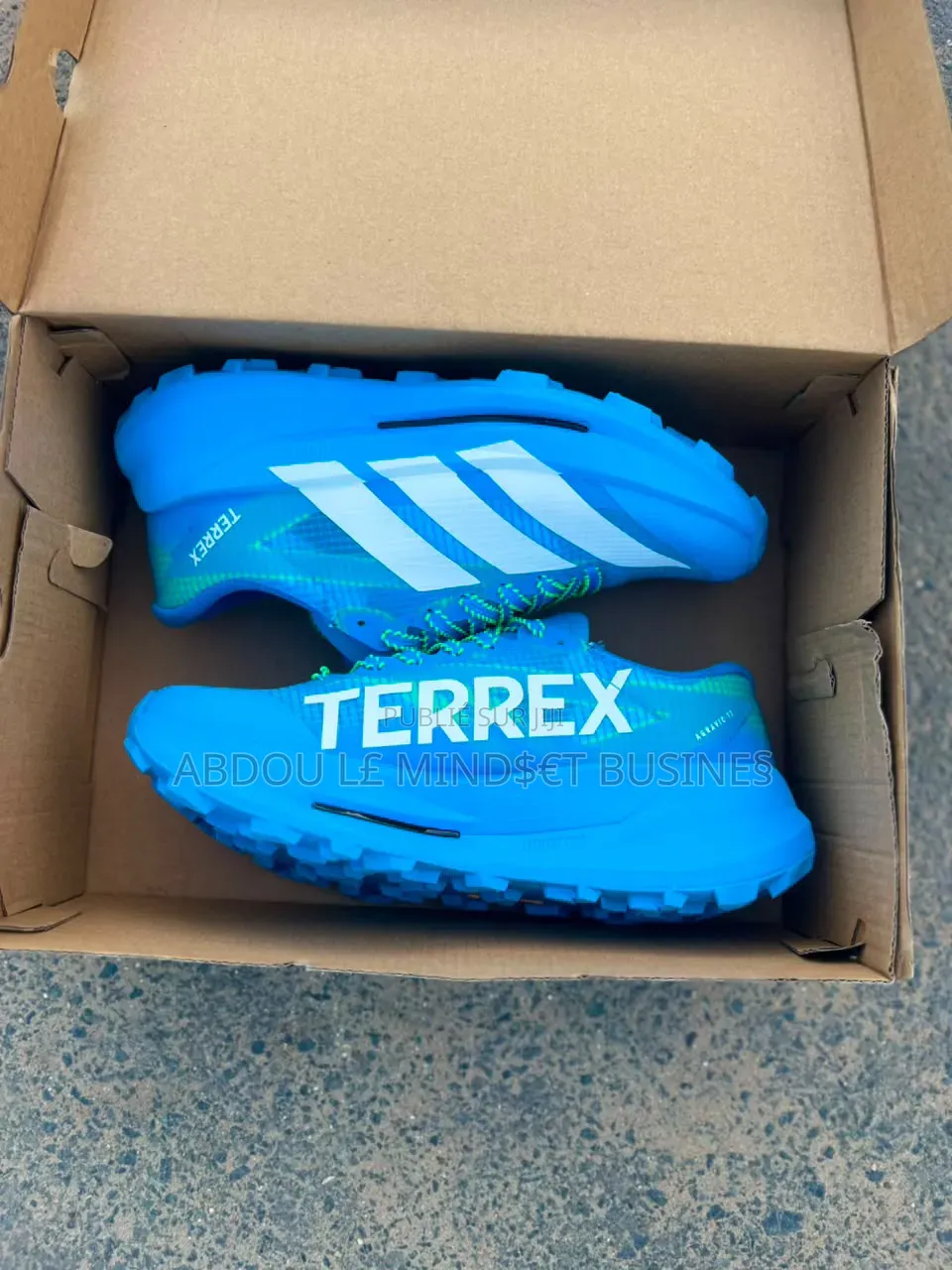 Chaussure Adidas Terrex Bleu-Blanc Disponible