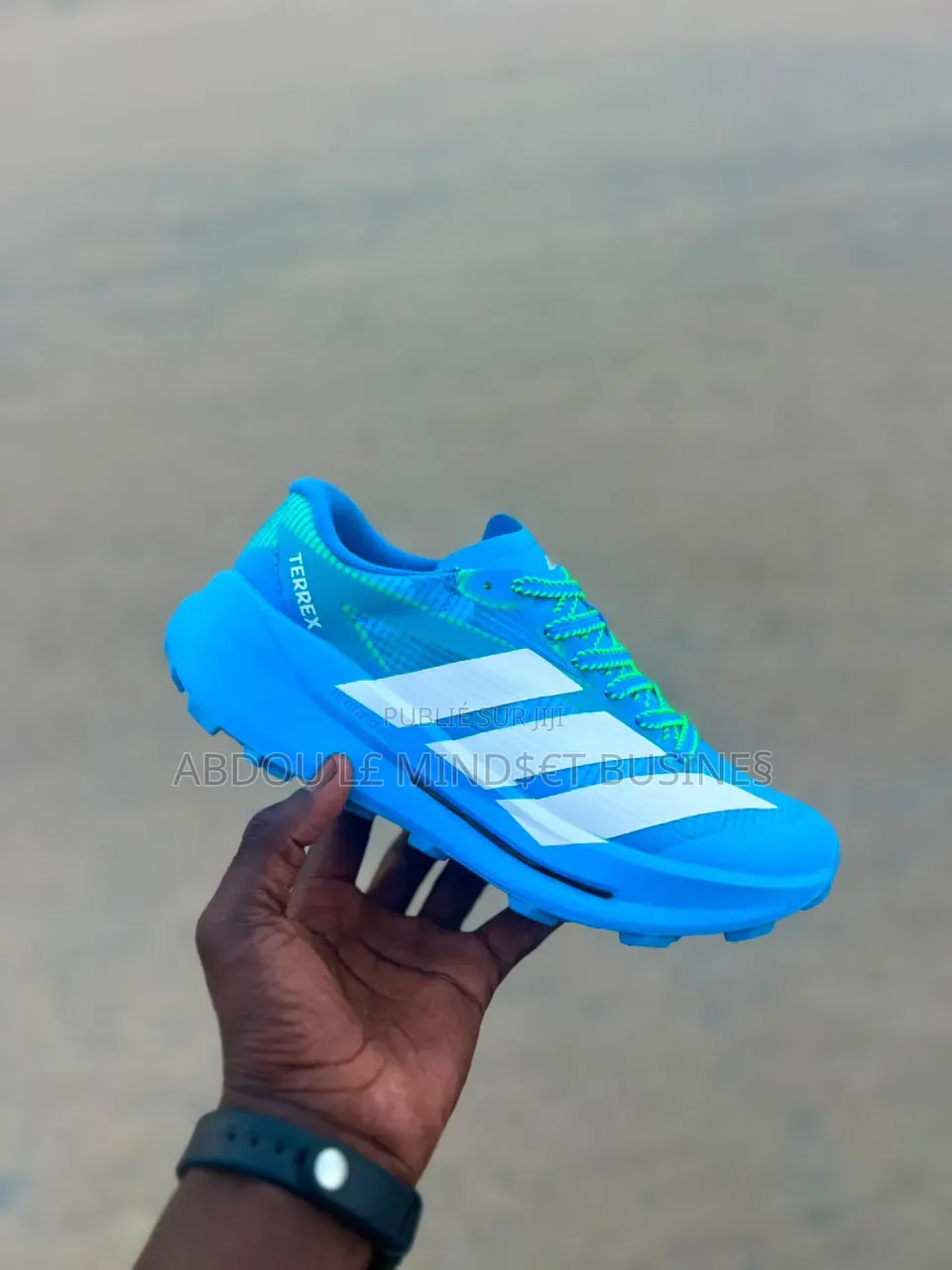 Chaussure Adidas Terrex Bleu-Blanc Disponible